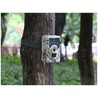 Фотоловушка на дереве для наблюдения за участком