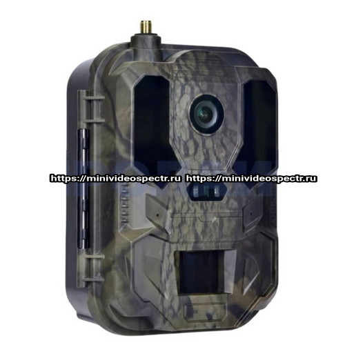 Фотоловушка